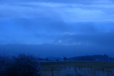 DSC_1115 (Large).JPG